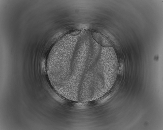 X0000097760238200803281641