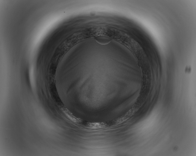 X0000097760239200803281641