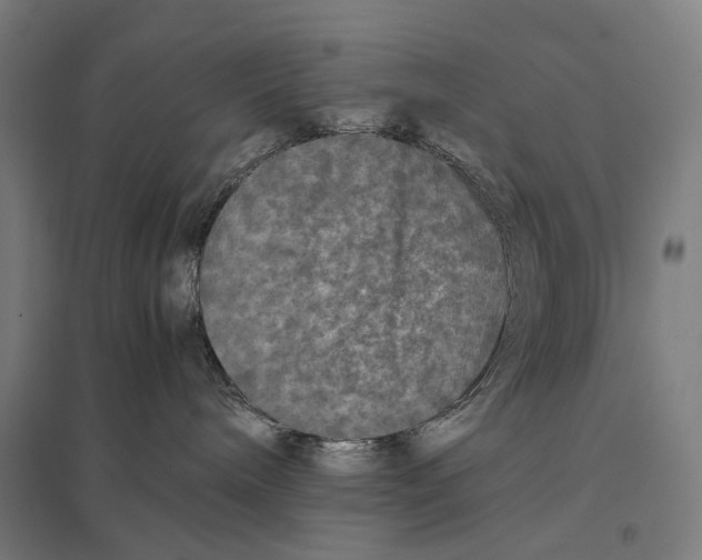 X0000097760240200803281641