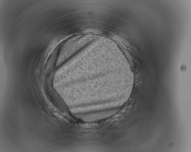 X0000097760241200803281640