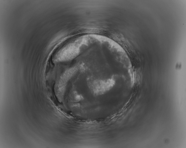 X0000097760243200803281640