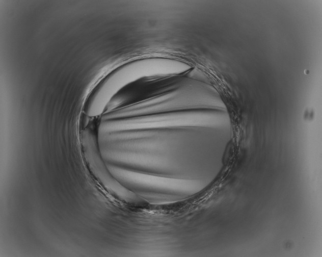 X0000097760244200803281640