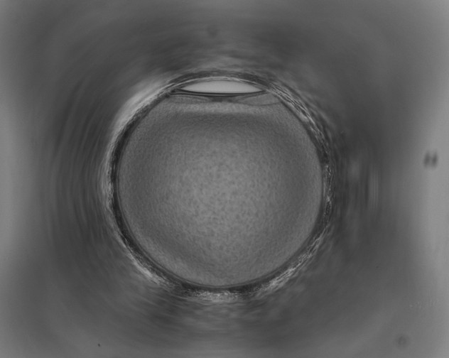 X0000097760245200803281640