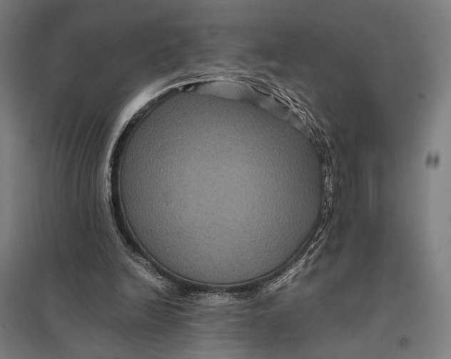 X0000097760246200803281640