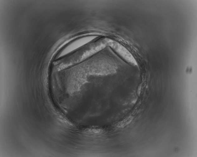 X0000097760247200803281640