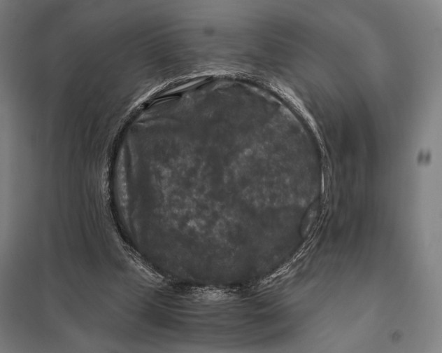 X0000097760249200803281640