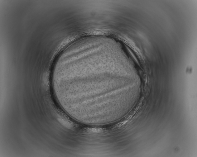 X0000097760250200803281640