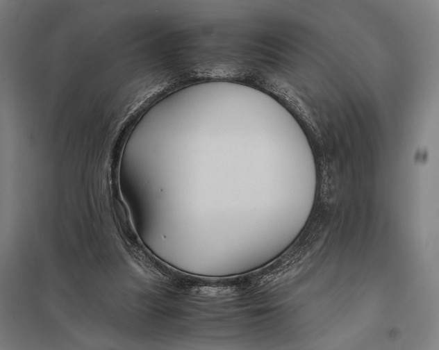 X0000097760251200803281640