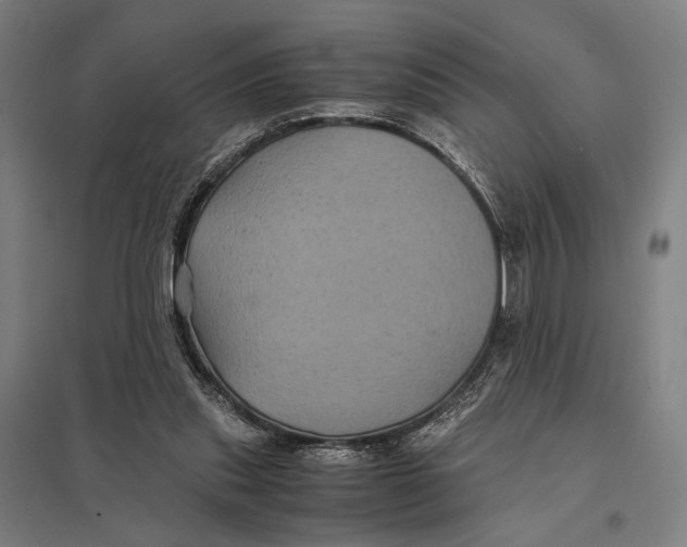 X0000097760253200803281640