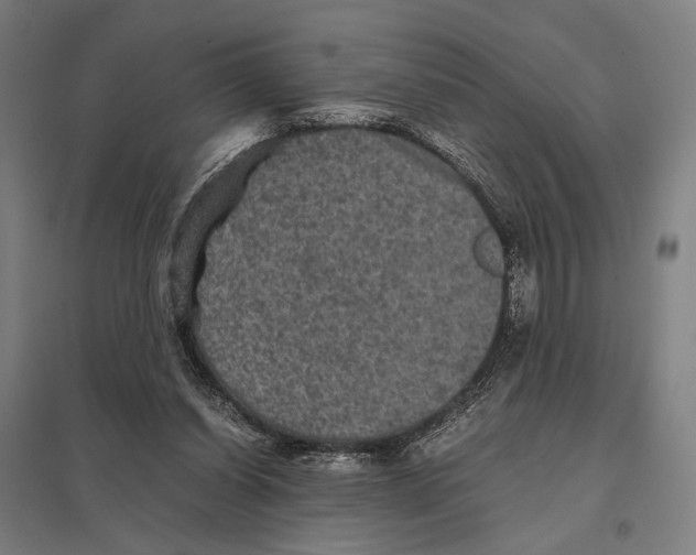 X0000097760254200803281640