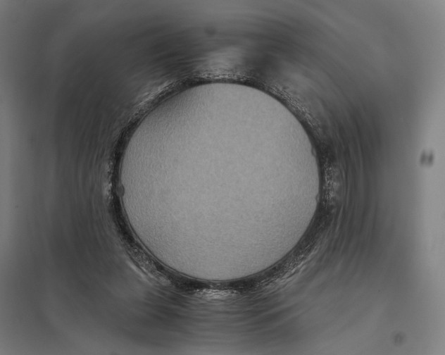 X0000097760255200803281640