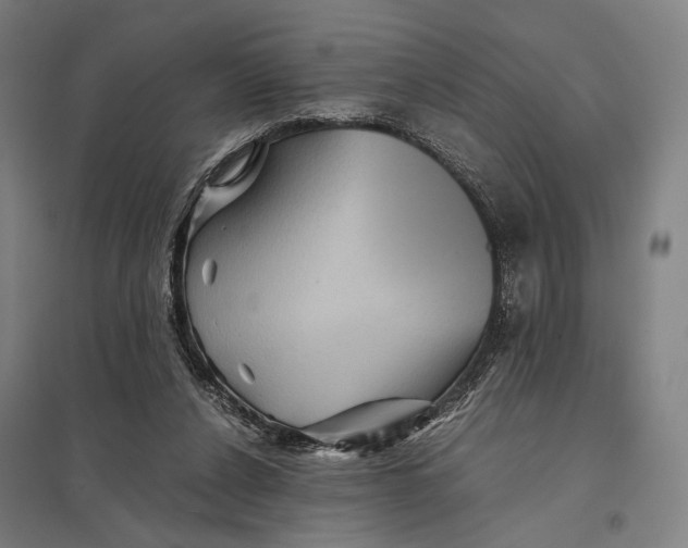 X0000097760256200803281640