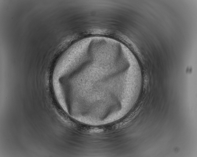 X0000097760257200803281640