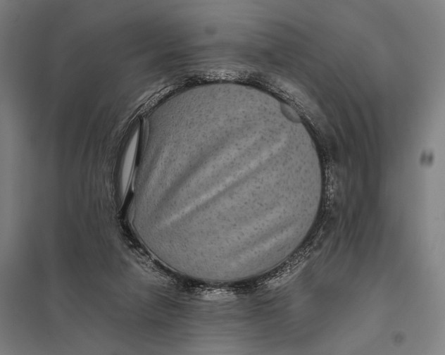 X0000097760258200803281640