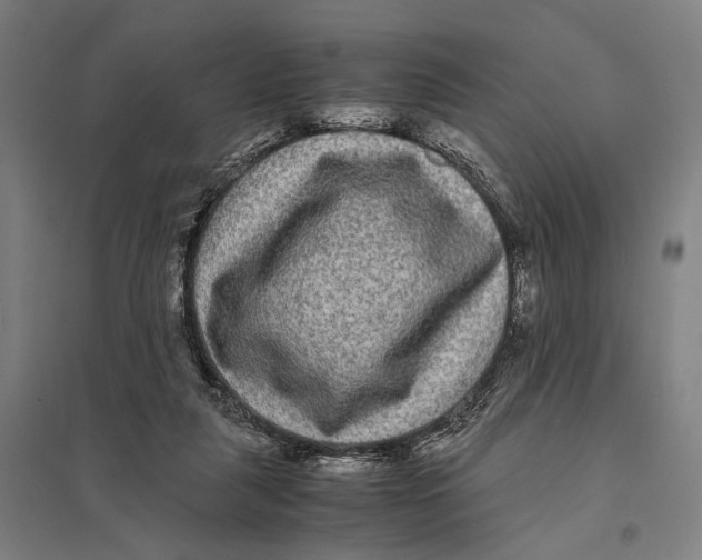 X0000097760259200803281640