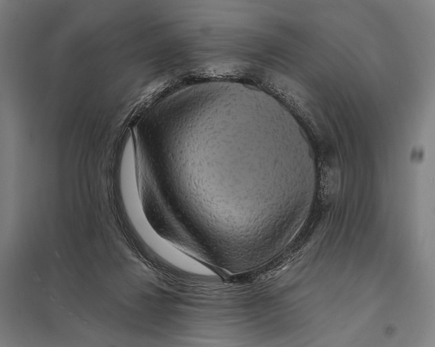 X0000097760260200803281640