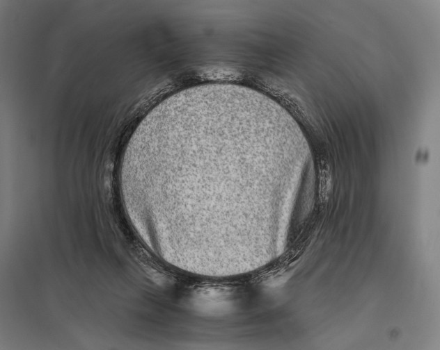 X0000097760263200803281640