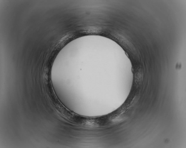 X0000097760264200803281640