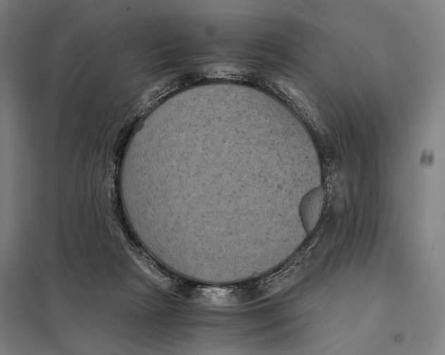 X0000097760265200803281640