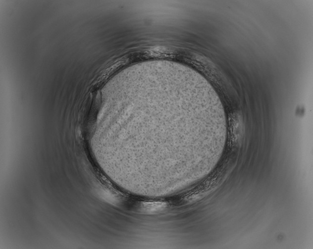 X0000097760266200803281640