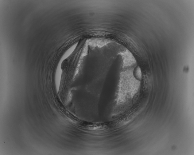 X0000097760267200803281640