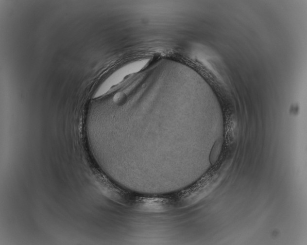 X0000097760268200803281640