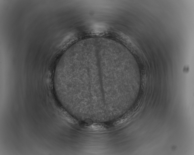 X0000097760270200803281640