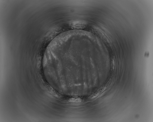 X0000097760271200803281640