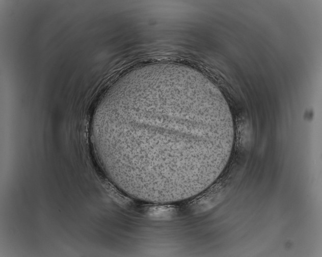 X0000097760274200803281641