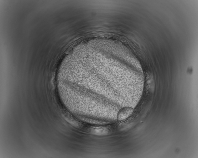 X0000097760275200803281641