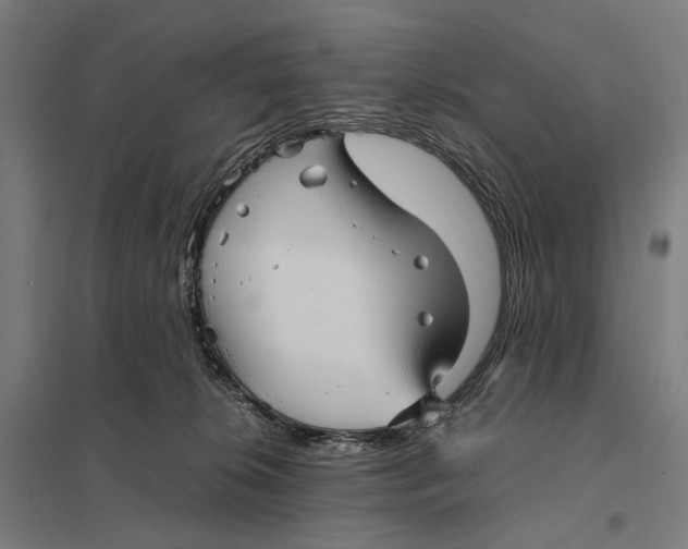 X0000097760276200803281641