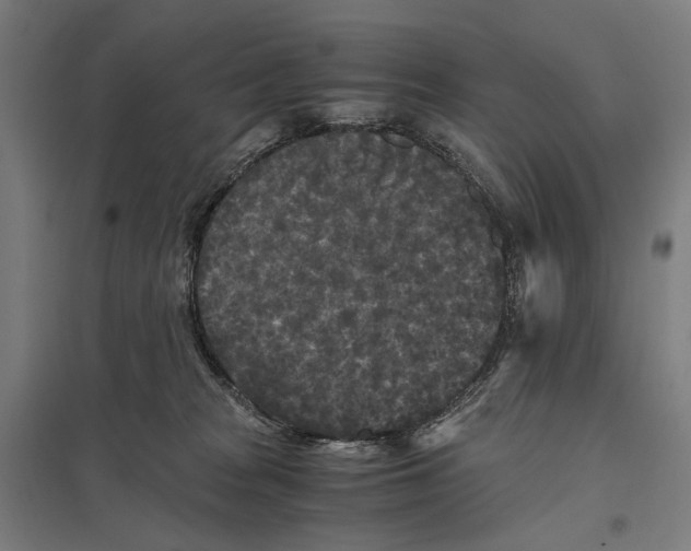 X0000097760277200803281641