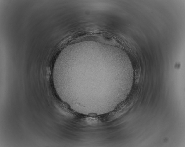 X0000097760279200803281641