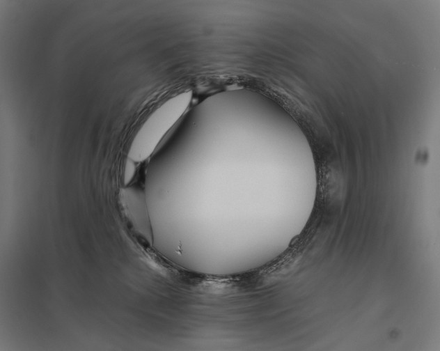 X0000097760280200803281641