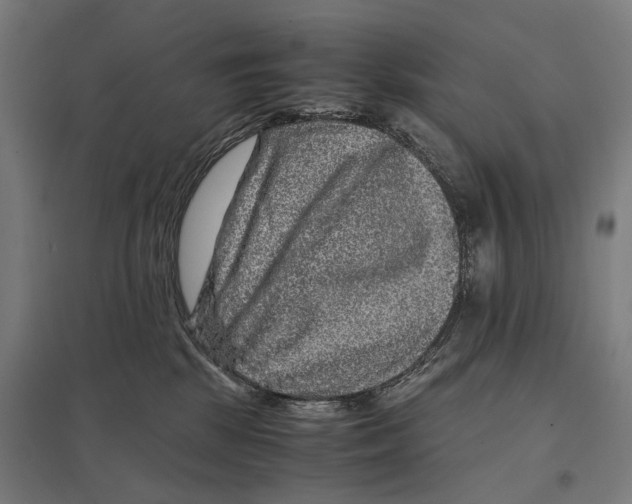 X0000097760281200803281641