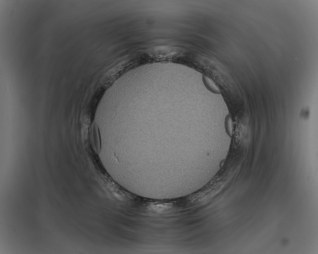 X0000097760283200803281641