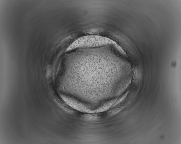 X0000097760284200803281641