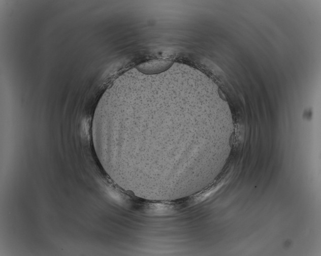 X0000097760286200803281641