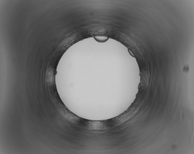 X0000097760287200803281641