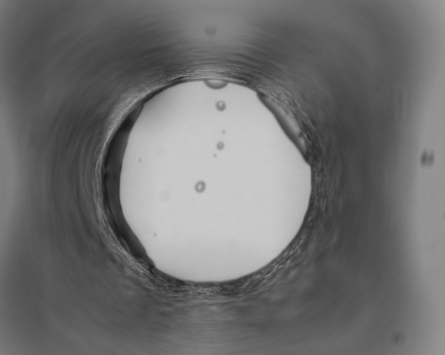 X0000097760289200803281640