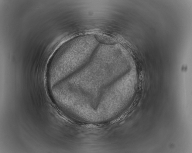 X0000097760290200803281640