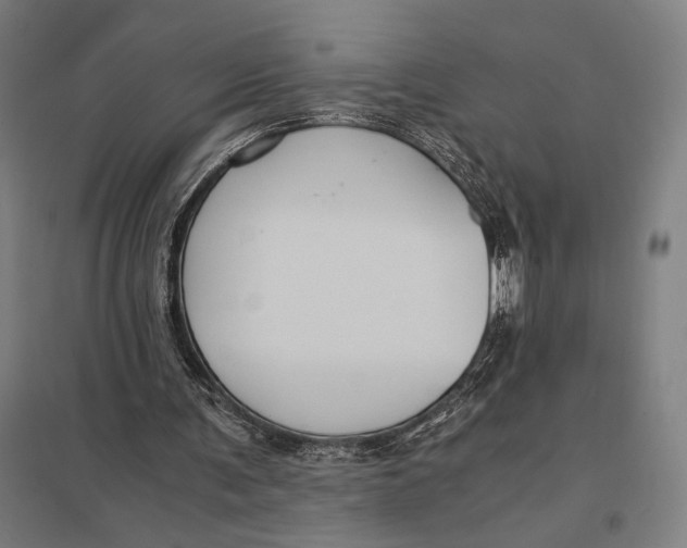 X0000097760291200803281640