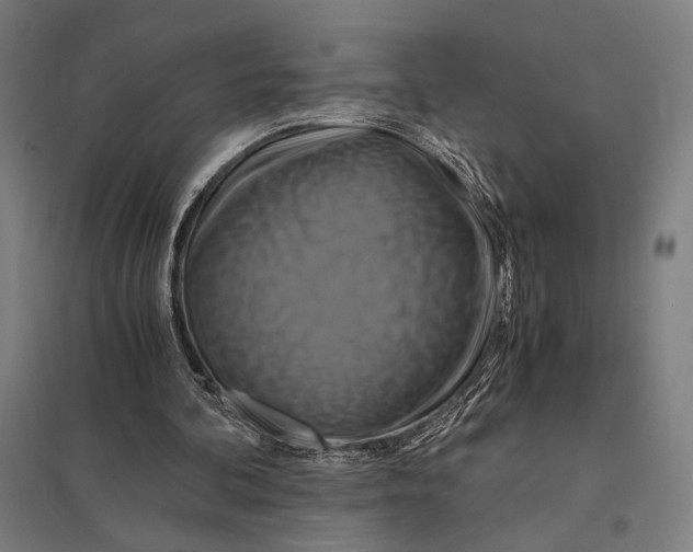 X0000097760292200803281640