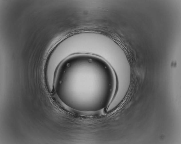 X0000097760293200803281640