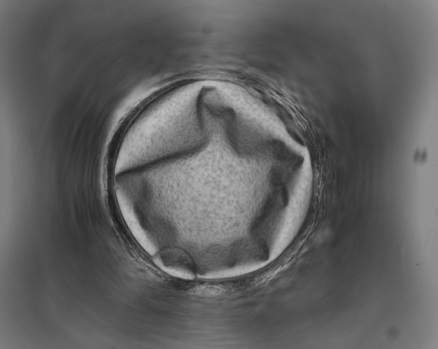 X0000097760294200803281640