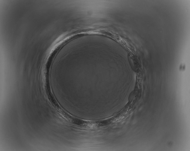 X0000097760295200803281640