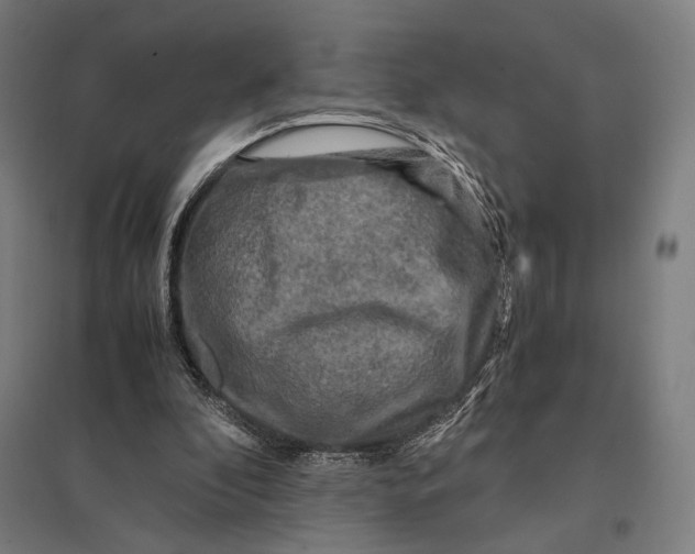 X0000097760296200803281640