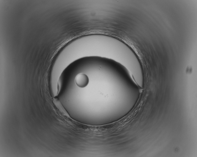 X0000097760297200803281640