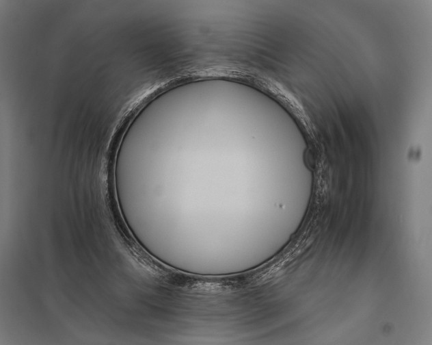 X0000097760298200803281640