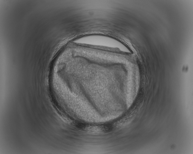 X0000097760299200803281640